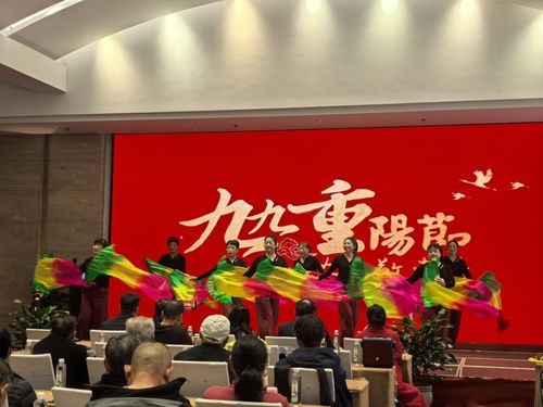 九華山祇民社區(qū)文藝匯演慶佳節(jié) 敬老溫情暖人心，文化藝術(shù)交流活動(dòng)策劃